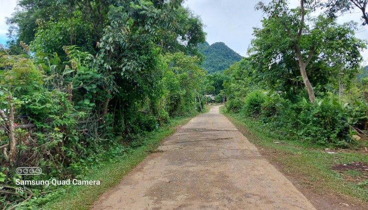 Bán đất Tân Lạc 7000m có ao, 400m thổ cư giá rẻ